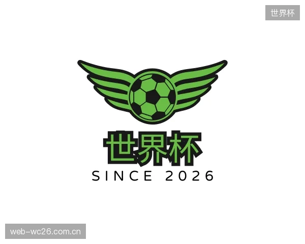 发现世界杯公司